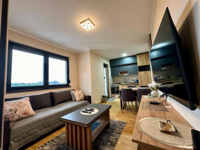 Q Apartment
